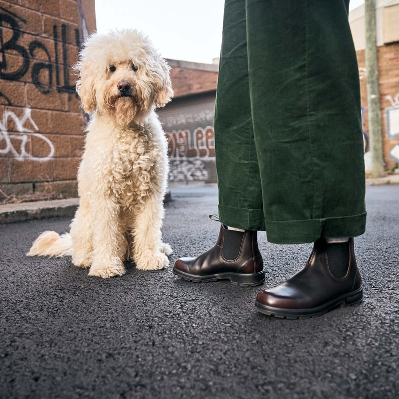 Blundstone | 2506 Chelsea boots Marron de Piel